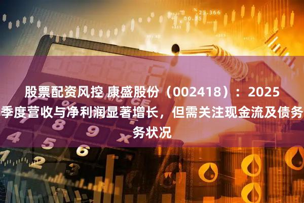 股票配资风控 康盛股份（002418）：2025年一季度营收与净利润显著增长，但需关注现金流及债务状况