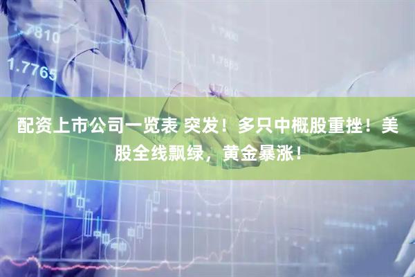 配资上市公司一览表 突发！多只中概股重挫！美股全线飘绿，黄金暴涨！